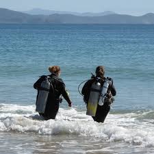 Image result for Wyndley NSC Snorkelling Club