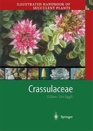 Attēlu rezultāti vaicājumam “Crassulaceae”