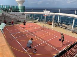Image result for Isle Of Wight Badminton Club