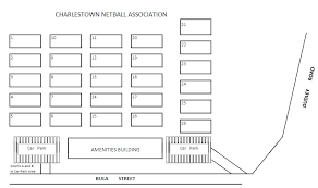 Image result for Charlestown/Adelphi Netball Club
