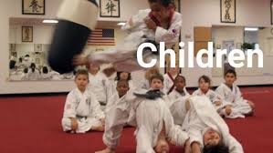 Image result for Ndm Martial Arts