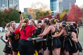 Image result for York University Hockey Club