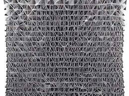 Attēlu rezultāti vaicājumam “Diderma tigrinum macro”