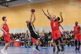 Image result for Essex Leopards