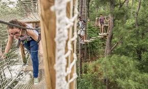Image result for The Go Ape Experience (Swinley Forest)
