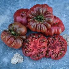 Afbeeldingsresultaat voor purple calabash tomato