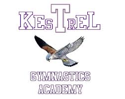 Image result for Kestrel Gymnastic Group
