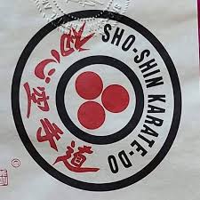 Image result for Ji Shin Do Karate
