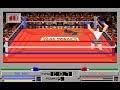Image result for 4D Sports Boxing