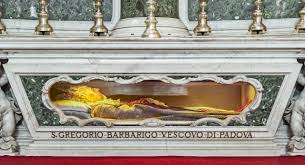 Image result for San Gregorio Barbarigo