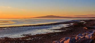 Image result for Solway