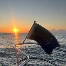 Image result for Legend Sailing