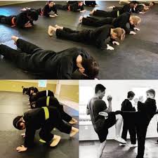 Image result for Pyramid martial arts