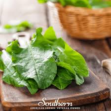 Attēlu rezultāti vaicājumam “Rumex acetosa fruit”