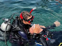 Image result for Wyndley Seals Snorkelling Club