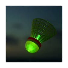 Image result for Optimum Speedminton Club