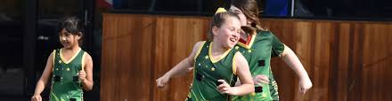 Image result for Highworth Netball Club