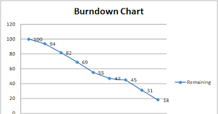 Image result for burnup chart