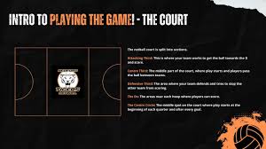 Image result for Bedford Tigers Tchoukball Club