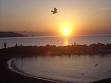 250px-Giardini_naxos_alba.JPG
