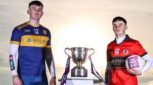 Image result for Green Isle Camogie Club - Players Wanted!