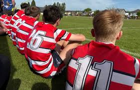 Image result for Farnborough Rfc Minis & Juniors