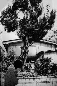 「鈴木斗馬 （トレンディーくん） 闇金ウシジマくん」の画像検索結果