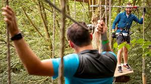 Image result for Go Ape! Dalby