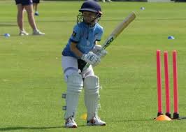 Image result for Wellingborough Town Cc