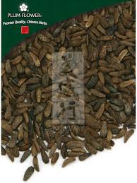 Attēlu rezultāti vaicājumam “Arctium lappa fruit”