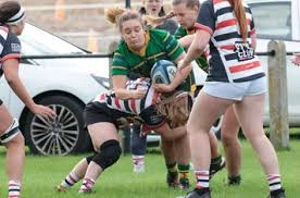 Image result for Novocastrians Rugby Football Club