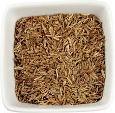 Attēlu rezultāti vaicājumam “Carum carvi”