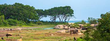 Image result for Яла заповедник