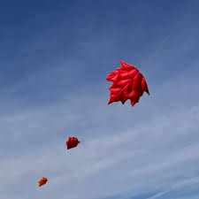 Image result for White Horse Kite Fliers Club