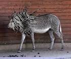 Photoshopped Animals