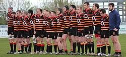 Image result for Bridgwater & Albion RFC