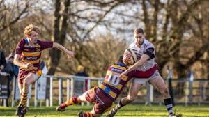Image result for Crewe & Nantwich Rugby Union Football Club