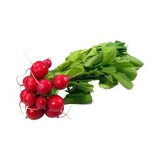 Image result for Radieschen