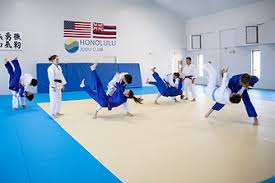 Image result for Holbrook Judo Club