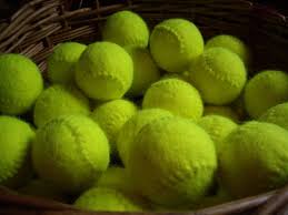 Image result for Hatfield House Tennis Club