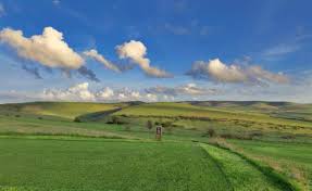 Image result for Lewes Golf Club