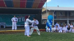 Image result for Silat Perisai Diri Classes Club