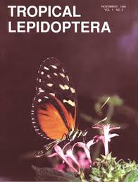 Attēlu rezultāti vaicājumam “Epermeniidae”