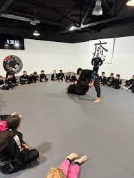 Image result for Daniel Gracie Academy