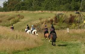 Image result for Beechwood Riding School