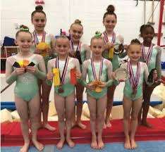 Image result for Bulmershe Gymnastics Club