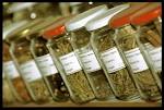 Ethiopian Traditional and Herbal Medications and their ...