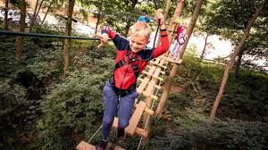 Image result for Go Ape! Alice Holt