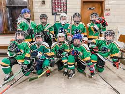 Image result for Adur Skater Hockey Club
