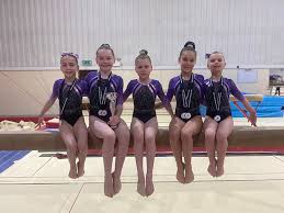 Image result for South Essex Gymnastics Club